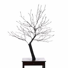 Floral Lights- Outdoor Cherry Blossom Tree 200Wt LED(Hi-Line Exclusive)