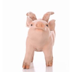 Pig W/Wings Walking