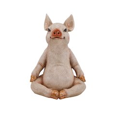 Pig In Meditation, Pink