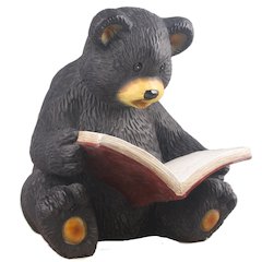 Bear Cub Reading A Book