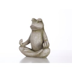 Frog Sitting In Lotus Position