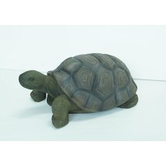 Turtle 21 Inch