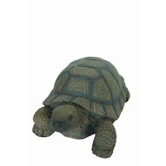 Turtle 10 Inch