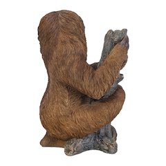 Pet Sloth