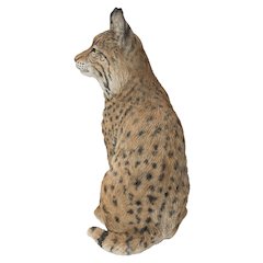 Sitting Bobcat Statue