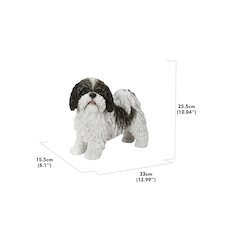 Black & White Standing Shih Tzu