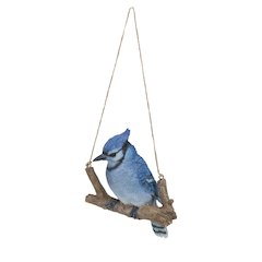 Hanging Blue Jay On A Branch