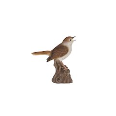 Motion Activated Singing Nightingale Standing On Stump