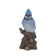 Motion Activated Singing Blue Jay Standing On Stump