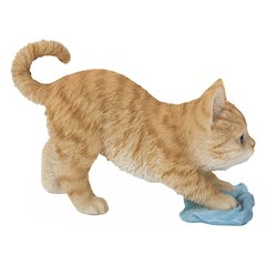 Kitten Mopping The Floor