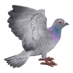 Grey Pigeon with Coloured Neck Statue