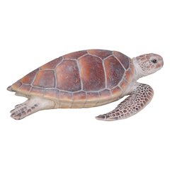 Large Sea Turtle