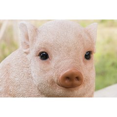 Chubby Piglet Sitting - Pink