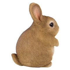Chubby Rabbit Standing