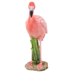 Flamingo Standing