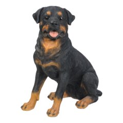 Rottweiler Sitting