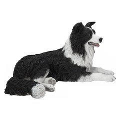 Lying Border Collie