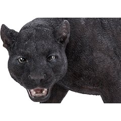 Black Panther Stalking