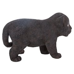 Black Panther Cub
