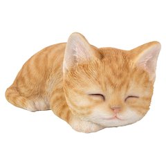 Orange Tabby Kitten Sleeping