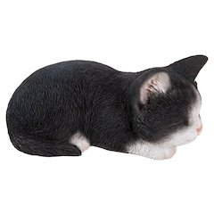 Black & White Kitten Sleeping