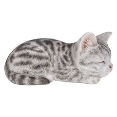 Grey Tabby Kitten Sleeping