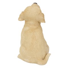 Yellow Labrador Puppy Howling