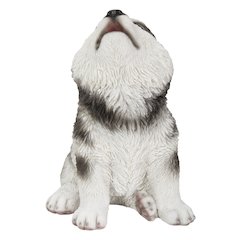 Alaskan Malamute Puppy Howling