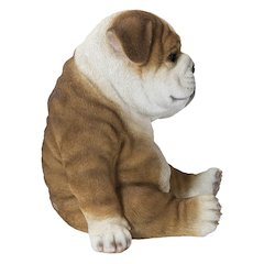 Bulldog Sleeping Medium