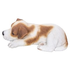 Jack Russell Puppy Sleeping