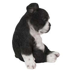 Sleepy Boston Terrier Puppy Statue Sitting