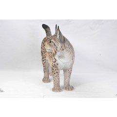 Lynx Statue