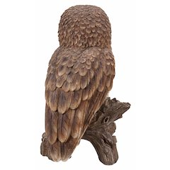 Brown Owl On Stump