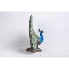 Peacock W/Feathers Out Statue