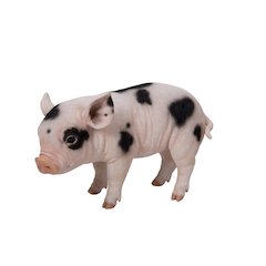 Standing Baby Pig W/Black Spots