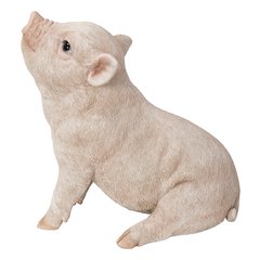 Baby Pig Sitting - Pink
