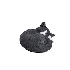 Black/White Cat Sleeping Lying Down