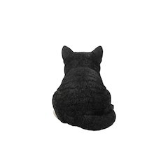 Black/White Cat Sleeping