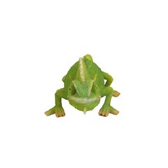 Cameleon