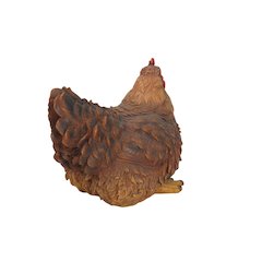 Hen Squatting