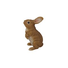 Standing Rabbit