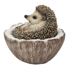 Coconut Hedgehog
