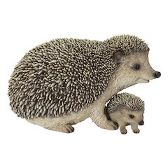 Mother & Baby Hedgehogs
