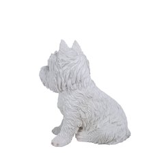 Sitting White Terrier