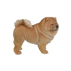 Standing Chow Chow