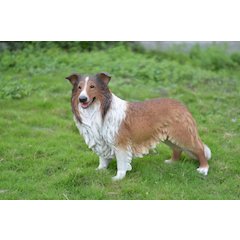 Collie Statue