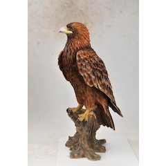 Golden Eagle