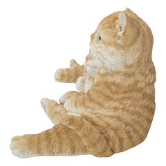 Couple Cat - Orange