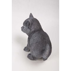 Russian Blue Kitten Statue