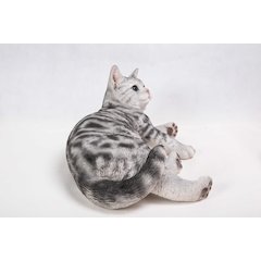 American Shorthair Lying Down Statue